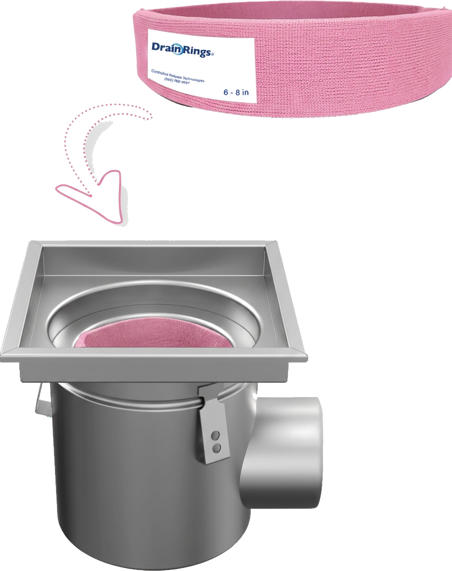 Drain Ring placed in a sanitary floor drain