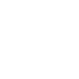 Client Services Icon